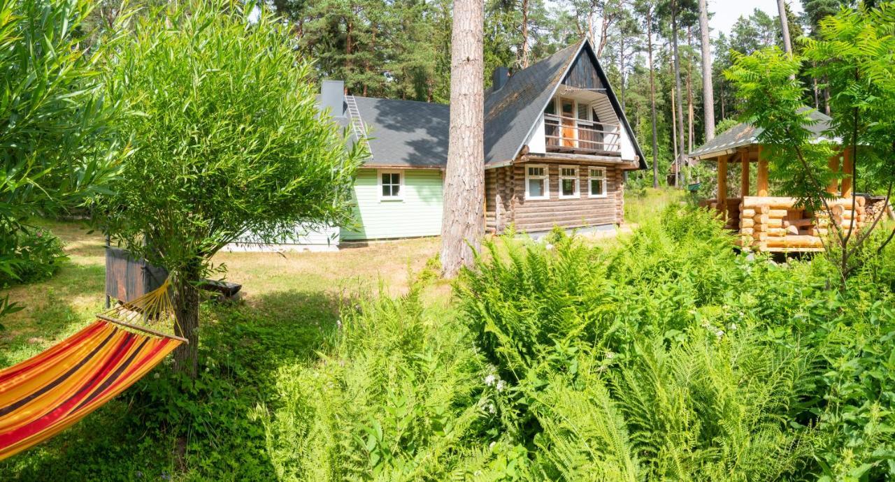 Nature Guest House Вызу Экстерьер фото